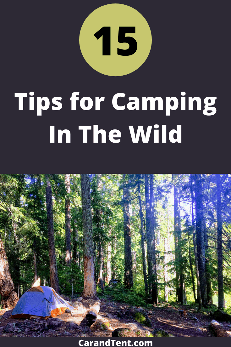 15 wilderness camping tips pin4
