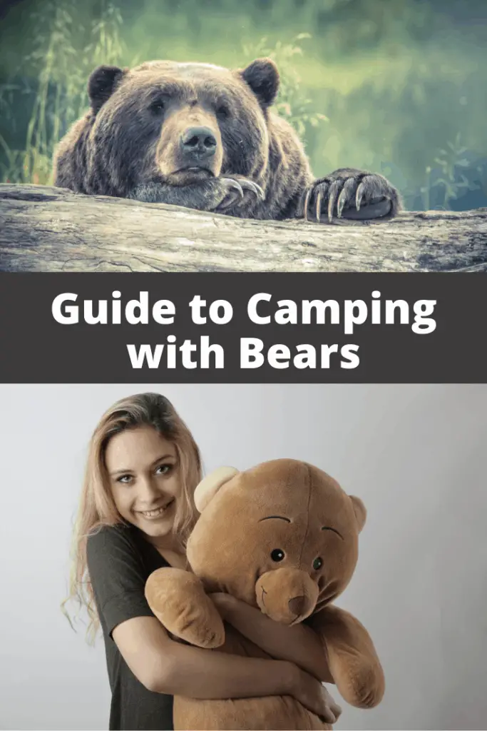 Camping with Bears How to Stay Safe in Bear Country