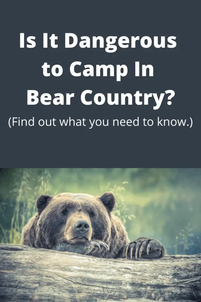 Camping with Bears How to Stay Safe in Bear Country