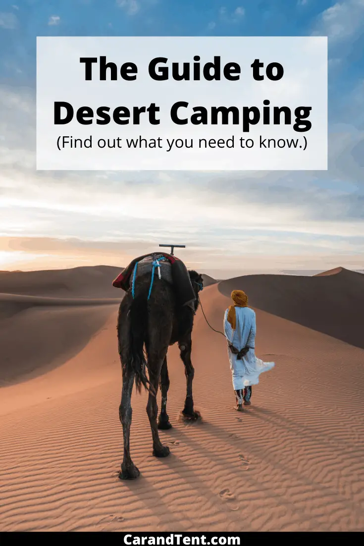 desert camping pin4