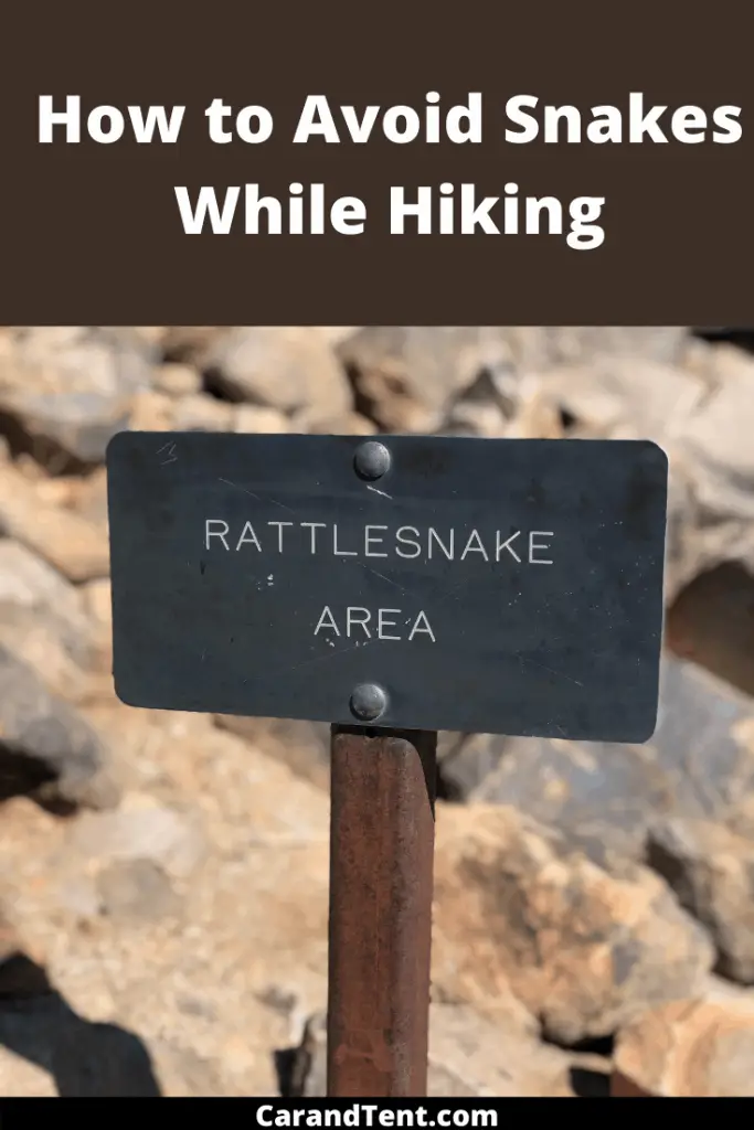 How to Avoid Snakes While Camping and Hiking