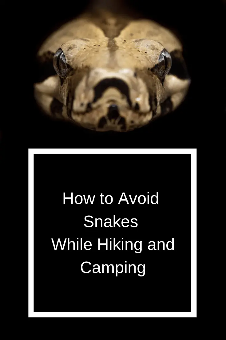 how to avoid snakes while hiking and camping