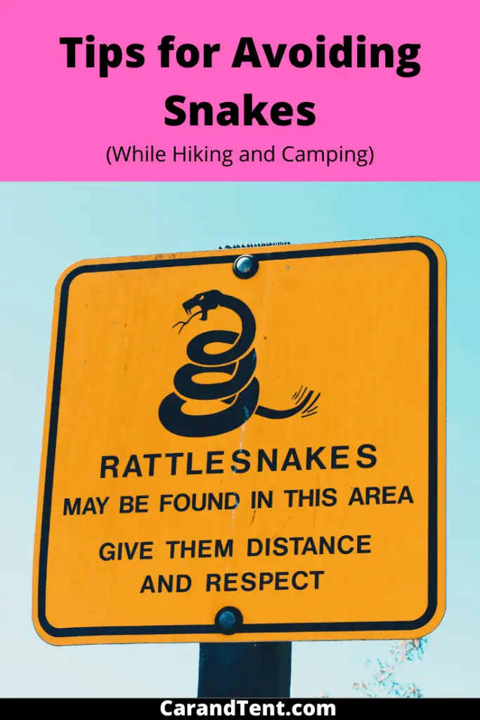 How to Avoid Snakes While Camping and Hiking