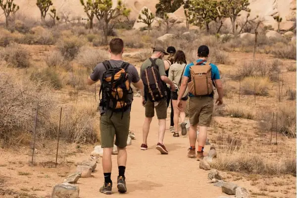 what to bring on a day hike