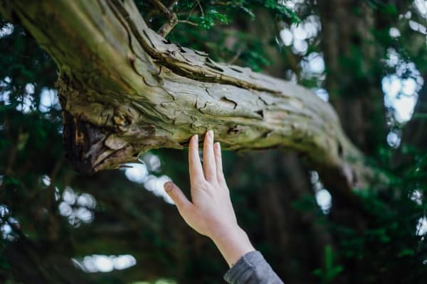 hands on trail