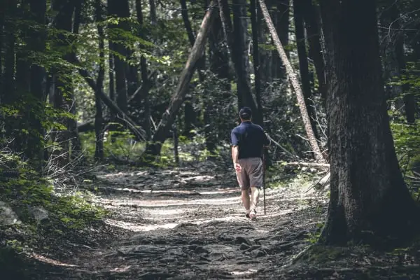 hiker on trail