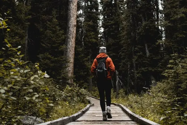 hiking boardwalk