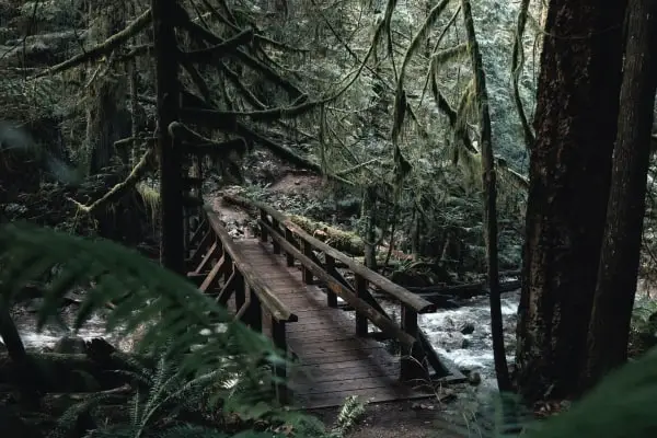 hiking bridge