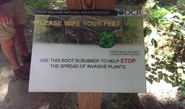 invasive species cleaner