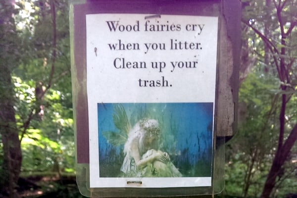 wood fairies cry