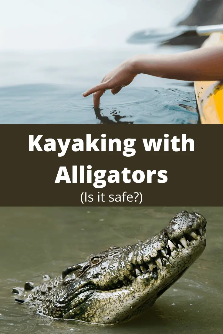 kayaking with alligators pin3