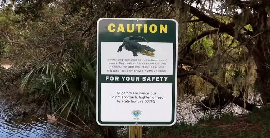 alligator sign