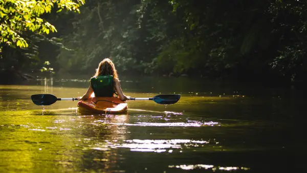 canoing with alligators