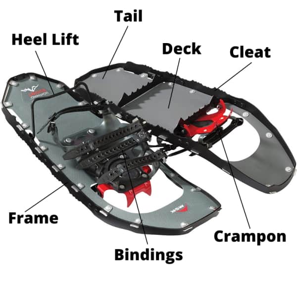 snowshoe diagram