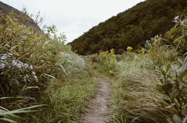 hiking trail