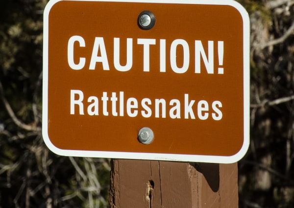 snake sign