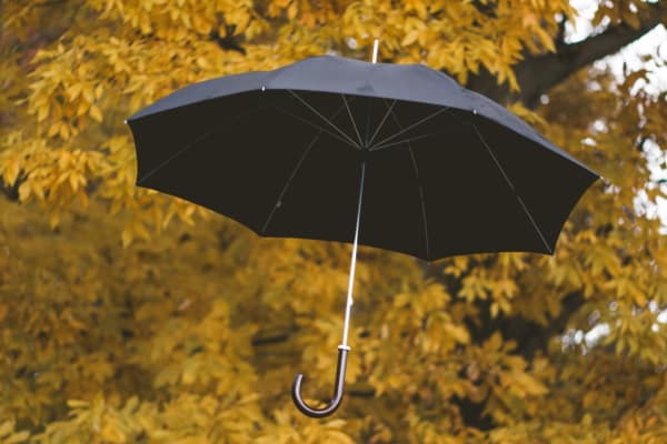 umbrella in the air