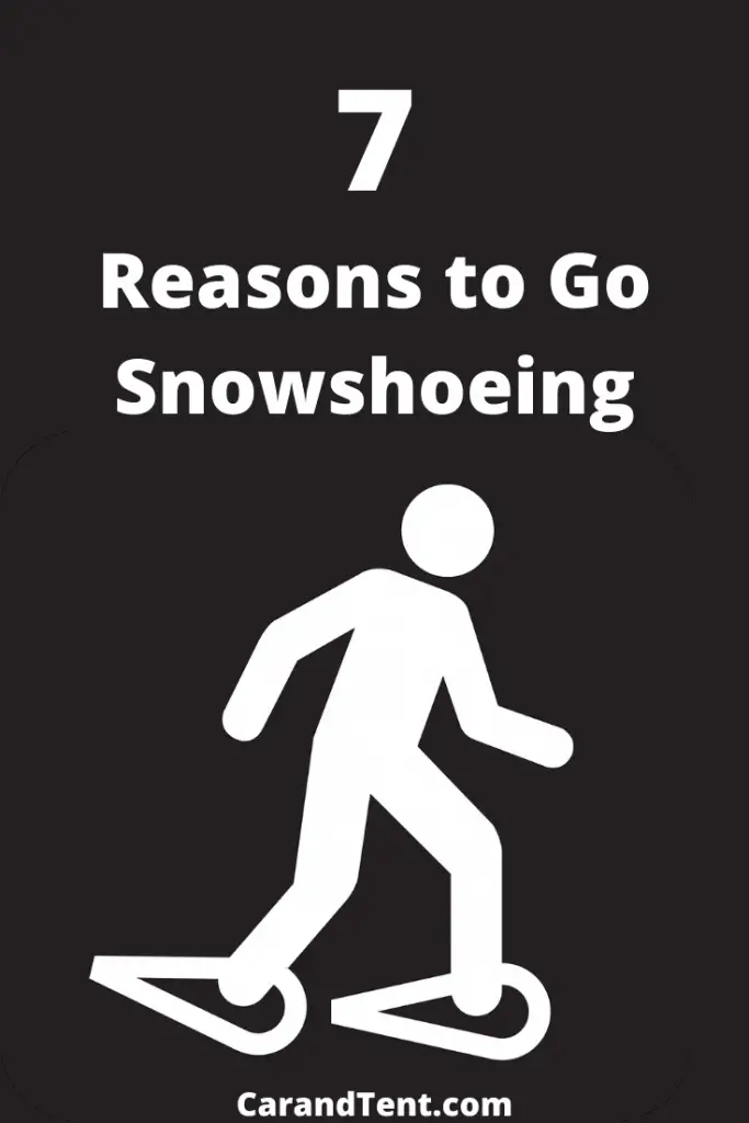 Snowshoeing vs Cross Country Skiing Which One to Do