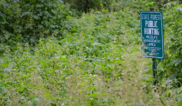 hunting sign