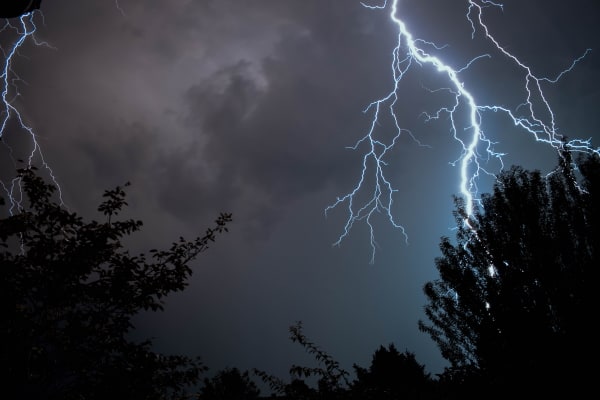 lightning-in-woods