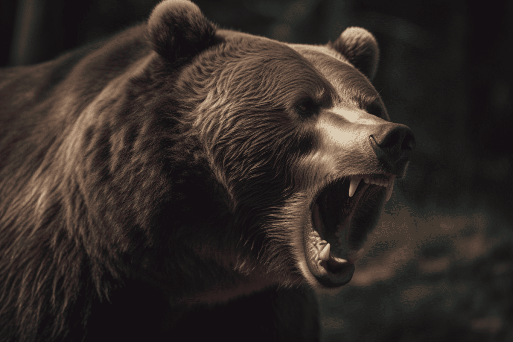 agitated bear