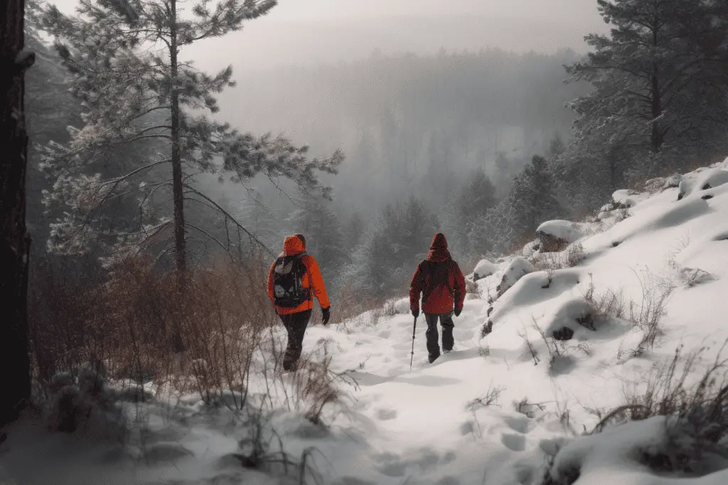 2 winter hikers