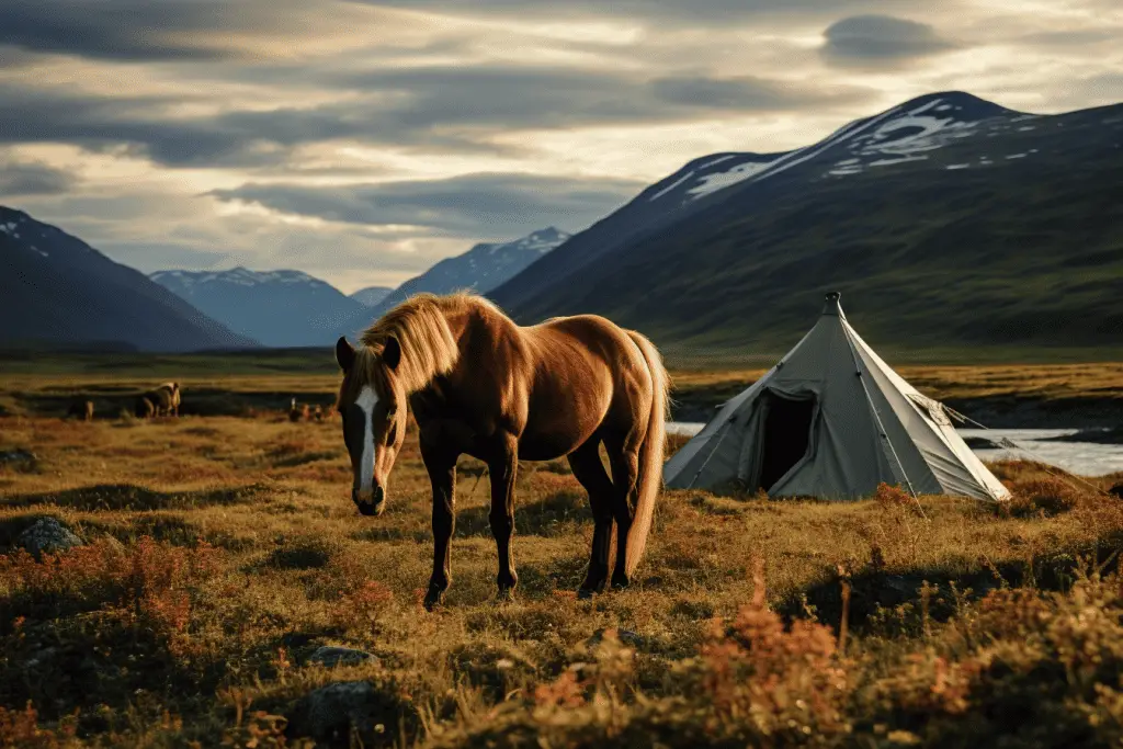 equestrian camping