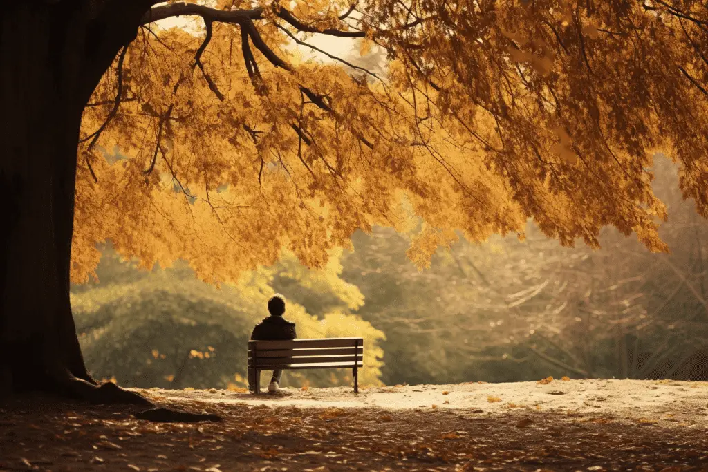 person relaxing in a park