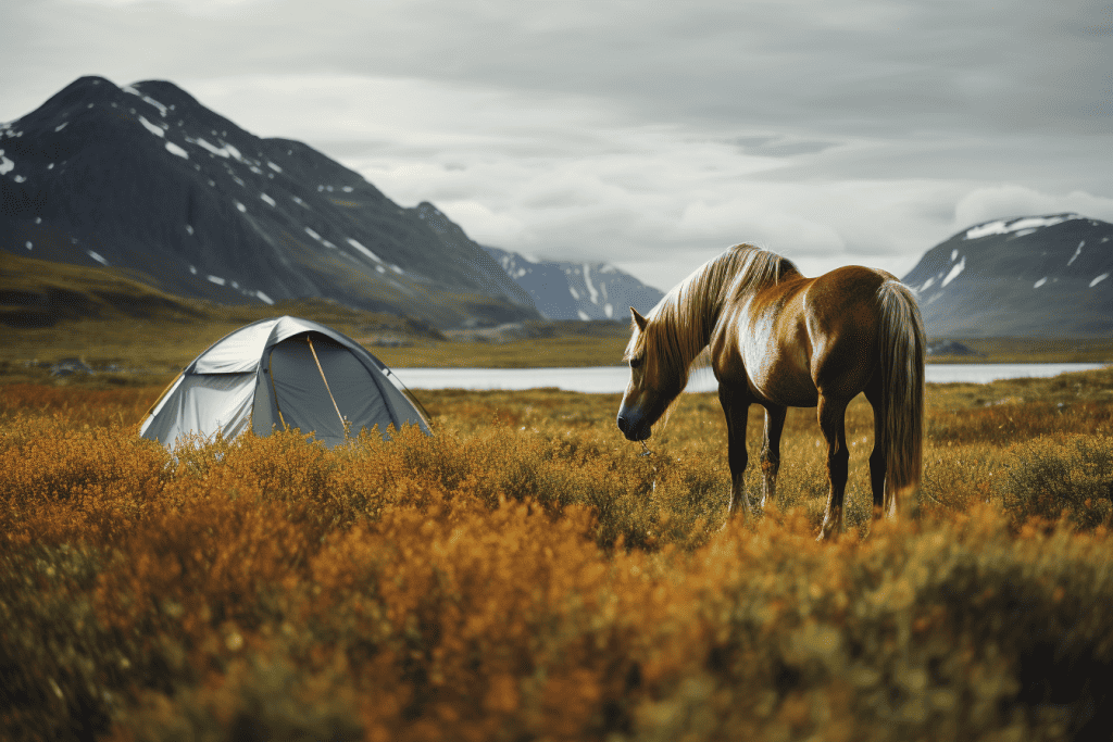horse camping in north dakota